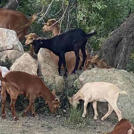 Cortijo Las Palmeras El Chorro Alora Bagian luar foto