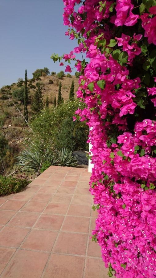 Cortijo Las Palmeras El Chorro Alora Bagian luar foto