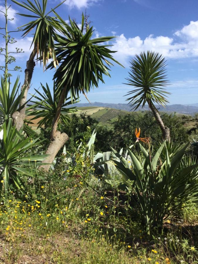 Cortijo Las Palmeras El Chorro Alora Bagian luar foto